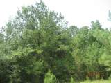 30079 Round Up Drive - Photo 15