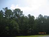 30079 Round Up Drive - Photo 16