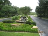 30079 Round Up Drive - Photo 3