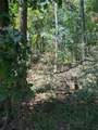 TBD Wolf Run - Photo 10