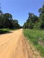 TBD Wolf Run - Photo 11