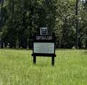 TBD Wolf Run - Photo 12
