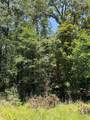 TBD Wolf Run - Photo 4