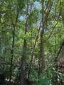 TBD Wolf Run - Photo 6