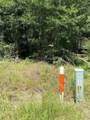 TBD Wolf Run - Photo 9