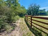 9212 Stetson Drive - Photo 7