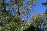 3415 Evergreen Drive - Photo 12