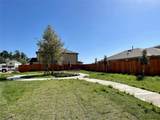 3307 Nila Creek Drive - Photo 4