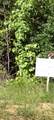 67 Coyote Run Road - Photo 2