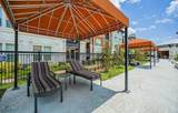 24151 Bella Dolce Lane - Photo 13