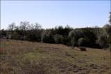 0 Dungens Mill Rd - Photo 5