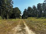 Tract 4 Trinity Lady Park Road - Photo 5