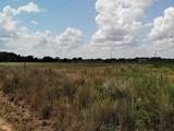 5.476 Acres County Rd 367 - Photo 35