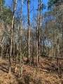 27833 Fm 2090 Road - Photo 6