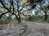 516 County Road 120 - Photo 8