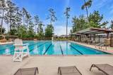 31803 Forest Park Trail - Photo 35