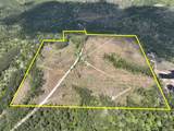 000 County Road 2834 - Photo 1