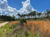 000 County Road 2834 - Photo 10