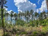 000 County Road 2834 - Photo 5
