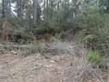 15649 Forest Grove Drive - Photo 7