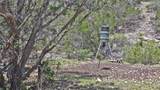 Lot 129 Spring Country Ranch Road - Photo 14