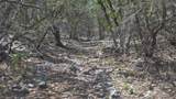 Lot 129 Spring Country Ranch Road - Photo 18