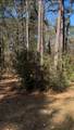 15901 Butera Road - Photo 3