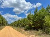 02 County Road 1420 - Photo 13