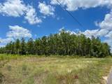 02 County Road 1420 - Photo 3
