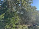 223 Houston Avenue - Photo 9