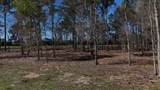 4335 Fm 1374 Road - Photo 2