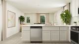 927 Pertuso Lane - Photo 12