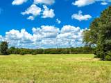 0000 County Road 520 - Photo 11