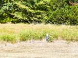 0000 County Road 520 - Photo 27