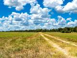 0000 County Road 520 - Photo 3