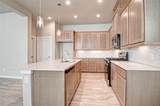 315 Spotted Fern Drive - Photo 13