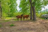 523 County Road 2073 - Photo 18
