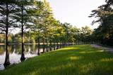 354 Silver Sage Street - Photo 13