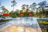 354 Silver Sage Street - Photo 14