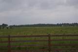 00 Brodt Road - Photo 8