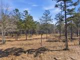 8576 Us- Hwy 190 - Photo 9