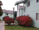 209 Canyon Street - Photo 10