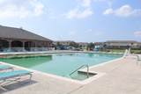 12119 Pia Drive - Photo 17
