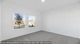 4517 Iguaza Falls Drive - Photo 13