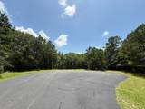 17655 Julianne Drive - Photo 5