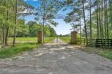 880 Tafelski Road - Photo 11