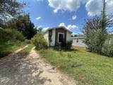 176 Wood Fern - Photo 6