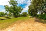 25635 Hufsmith Cemetery Road - Photo 31