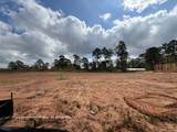 16847 Deep Wingbeat Way - Photo 11