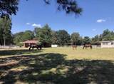 26768 B Dobbin Huffsmith Road - Photo 21